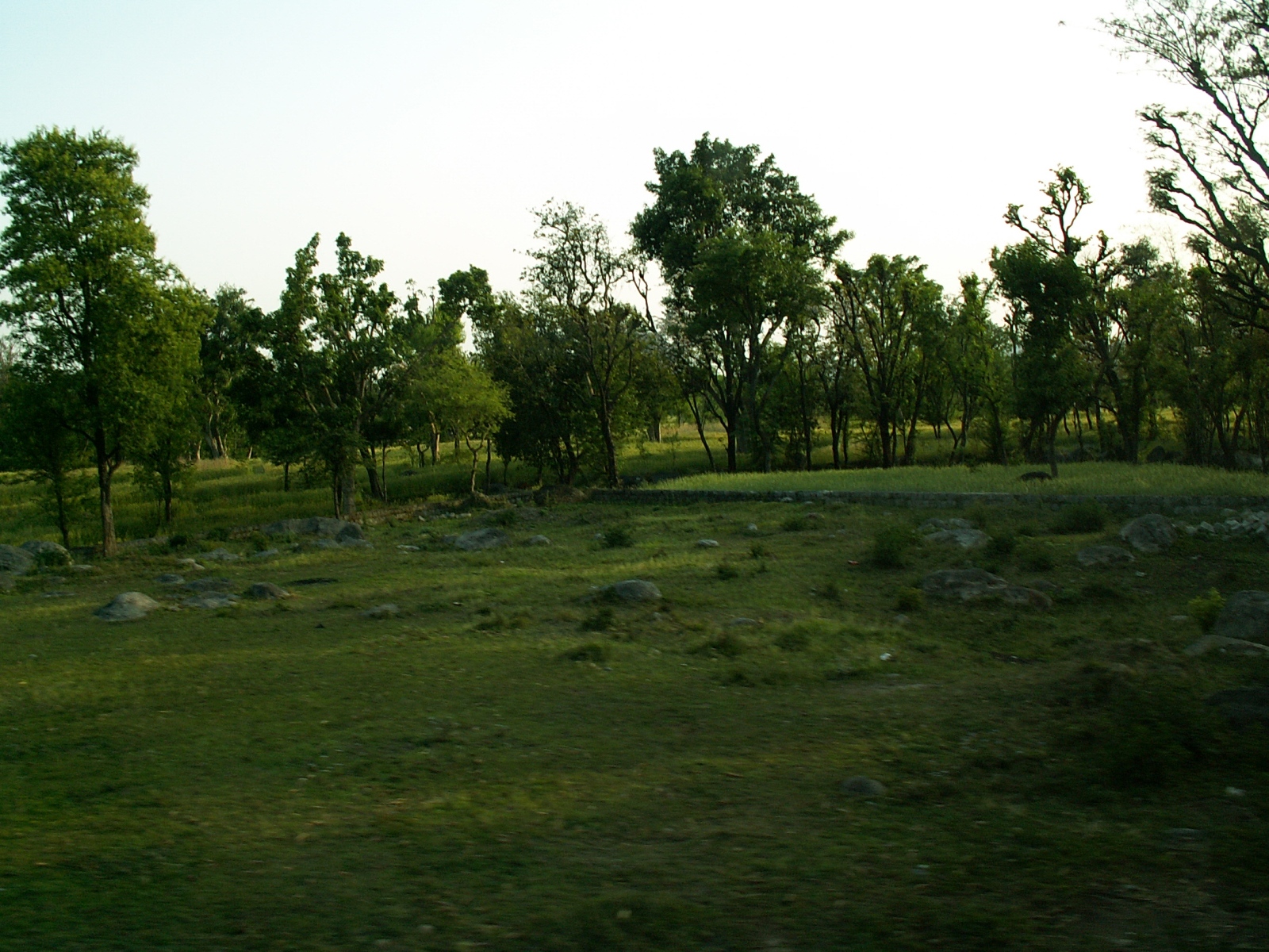 Near Dharamsala