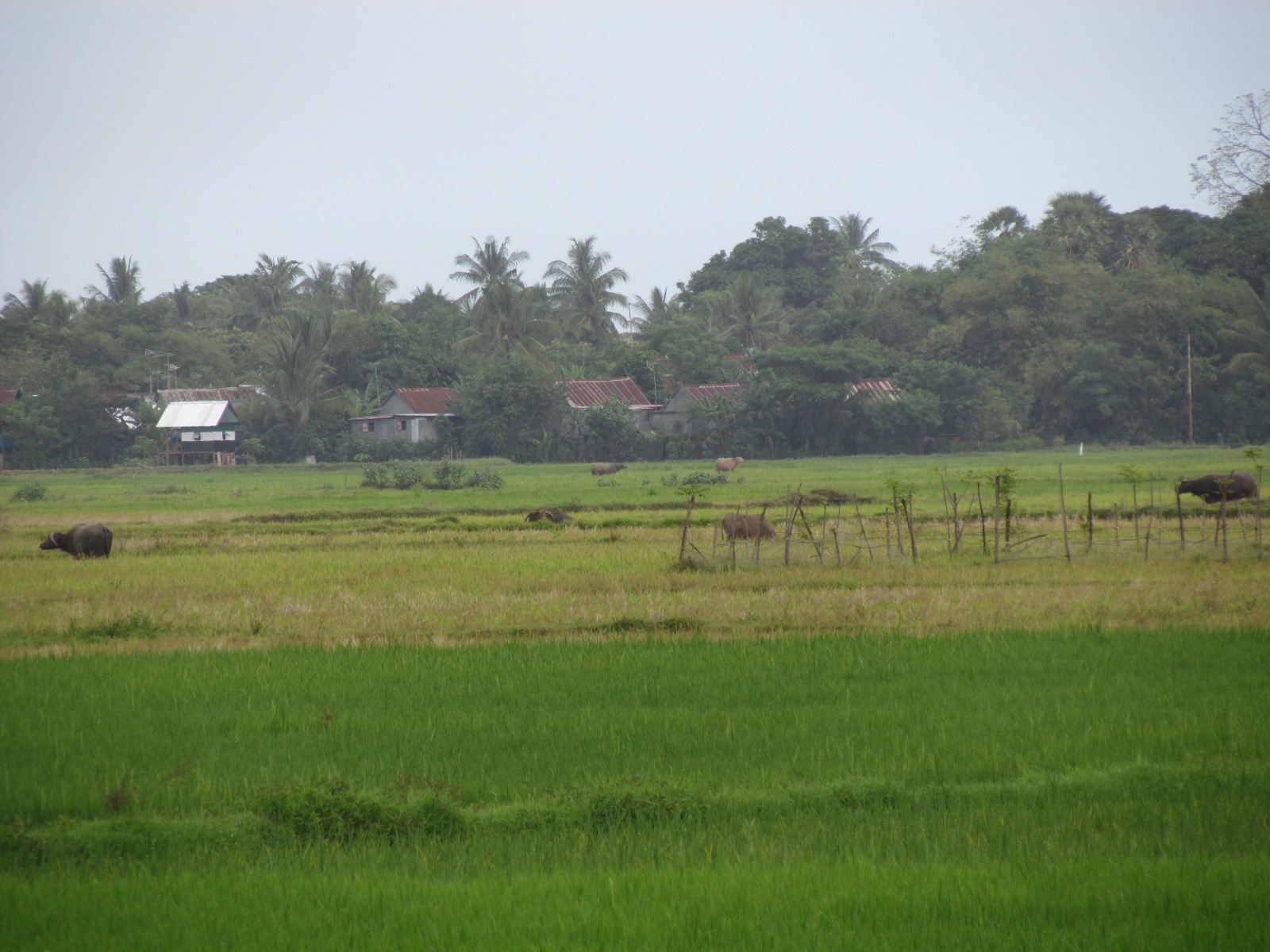 From Makassar to Barru