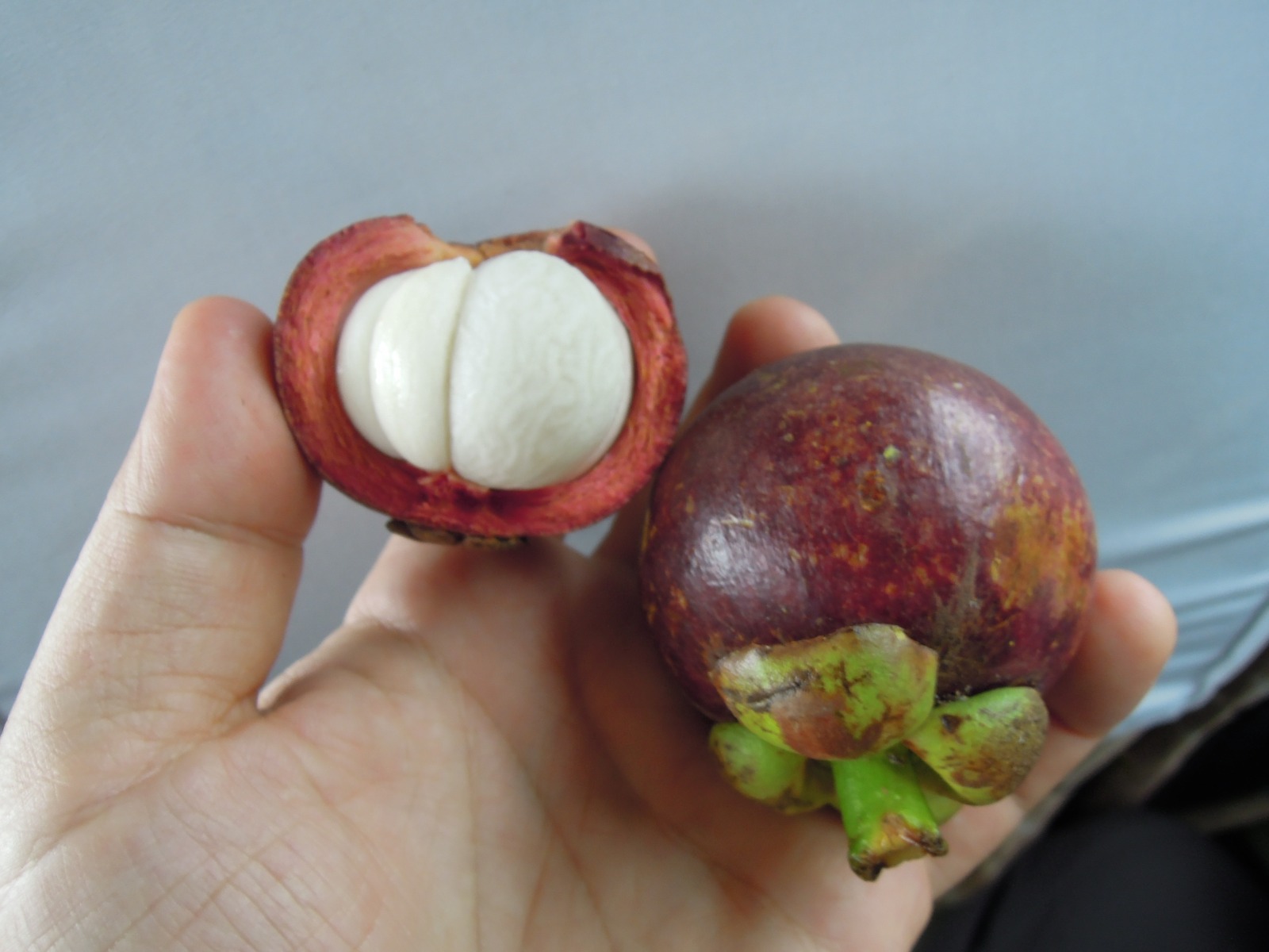 Mangostan