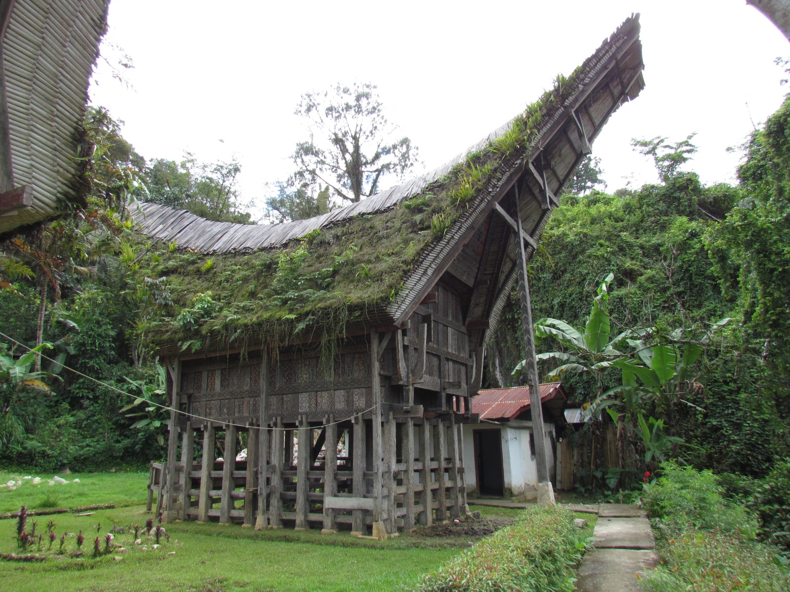 Toraja - Lemo - Tongkonans