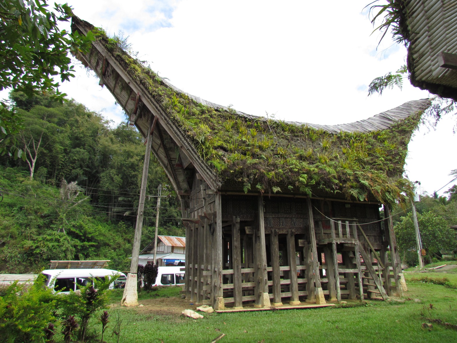 Toraja - Lemo - Tongkonans