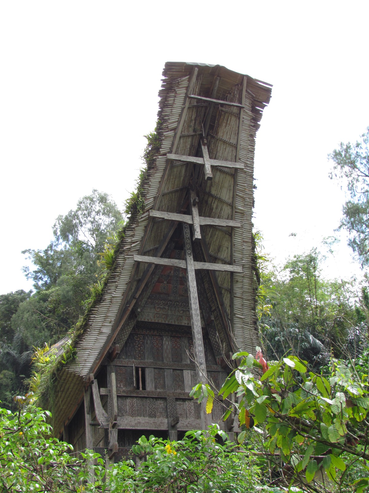 Toraja - Lemo - Tongkonan