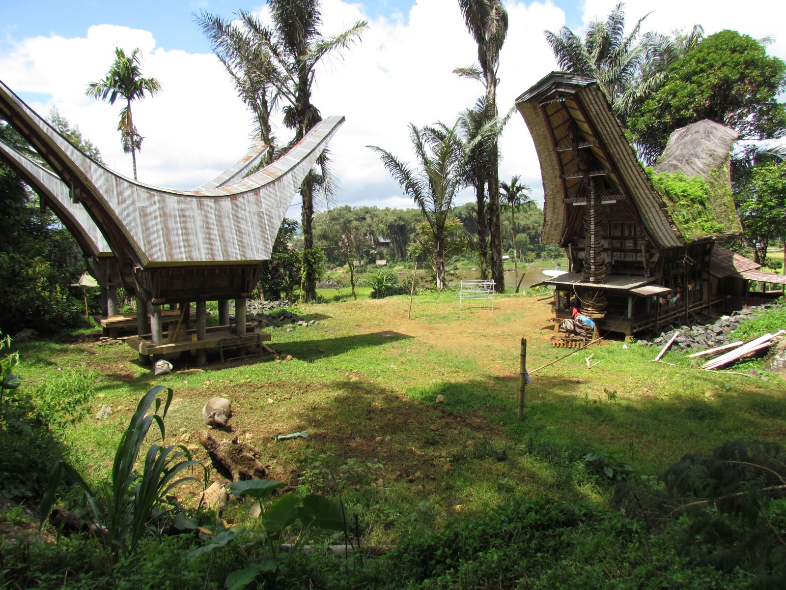 Toraja - Tongkonans