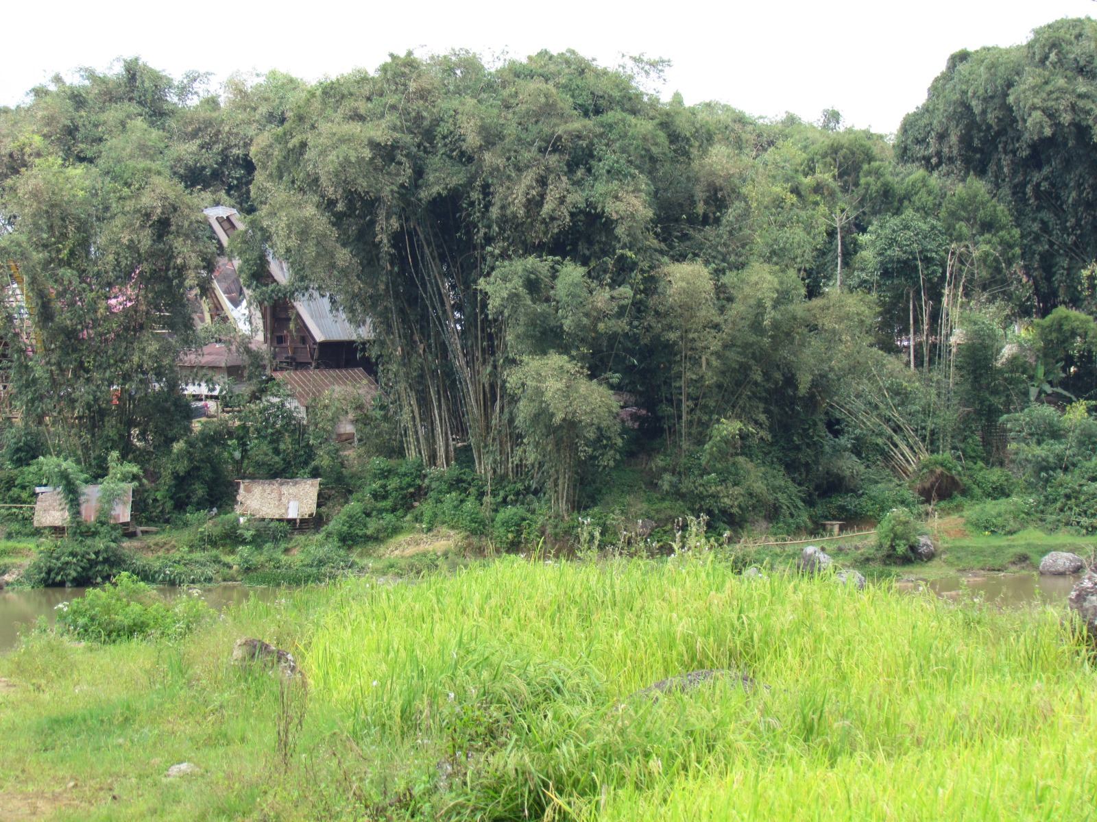 Toraja