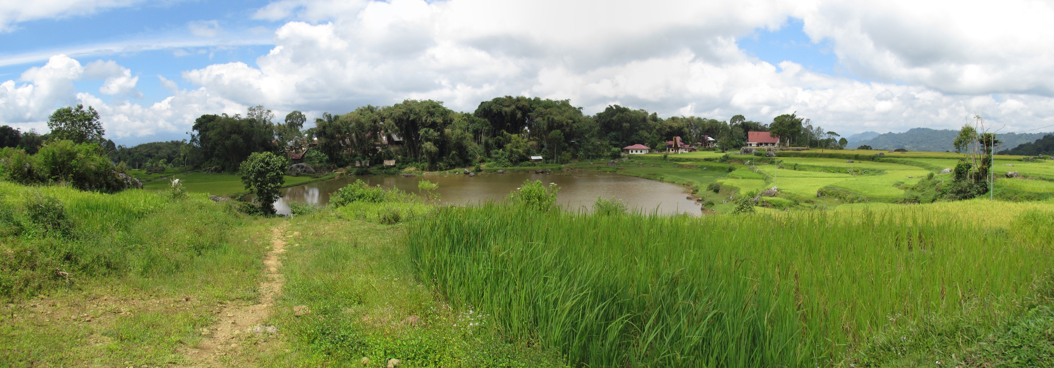 Toraja