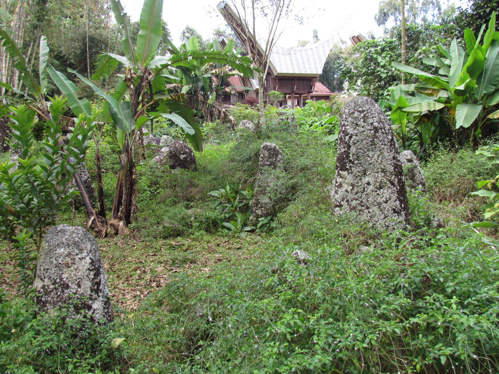 Toraja