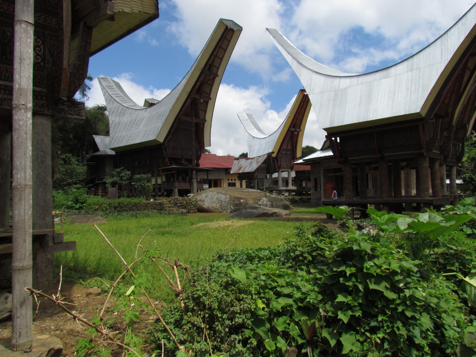 Toraja - Tongkonans