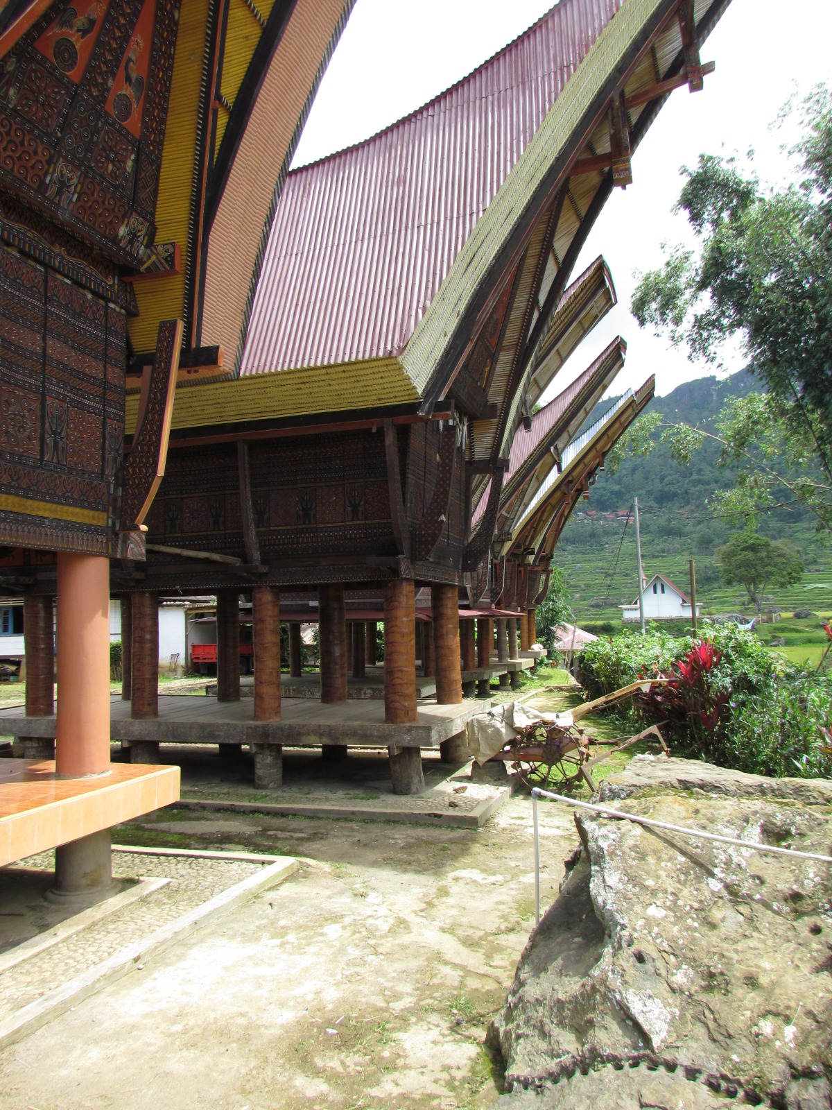 Toraja - Tongkonans