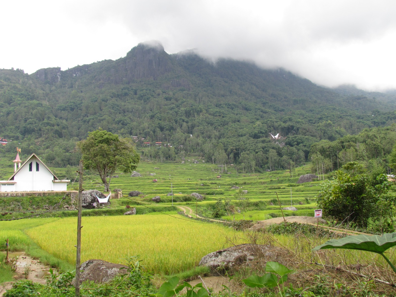 Toraja