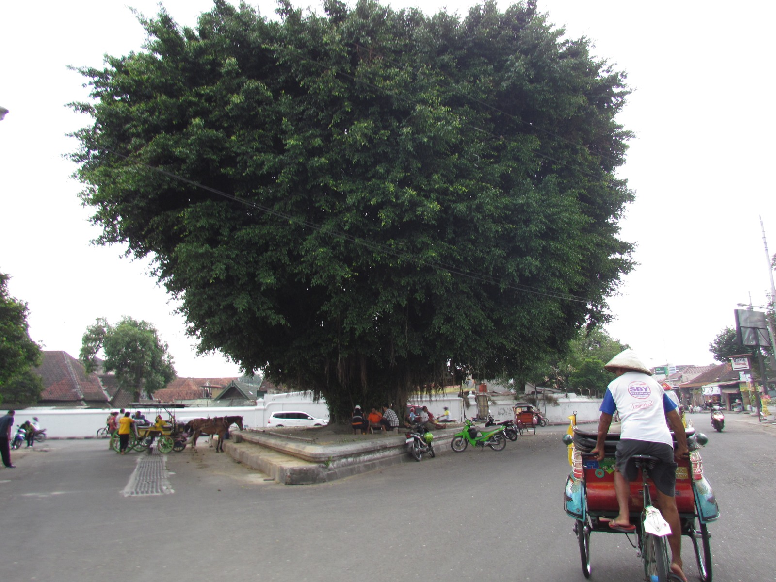 Yogyakarta - Rickshaw riding