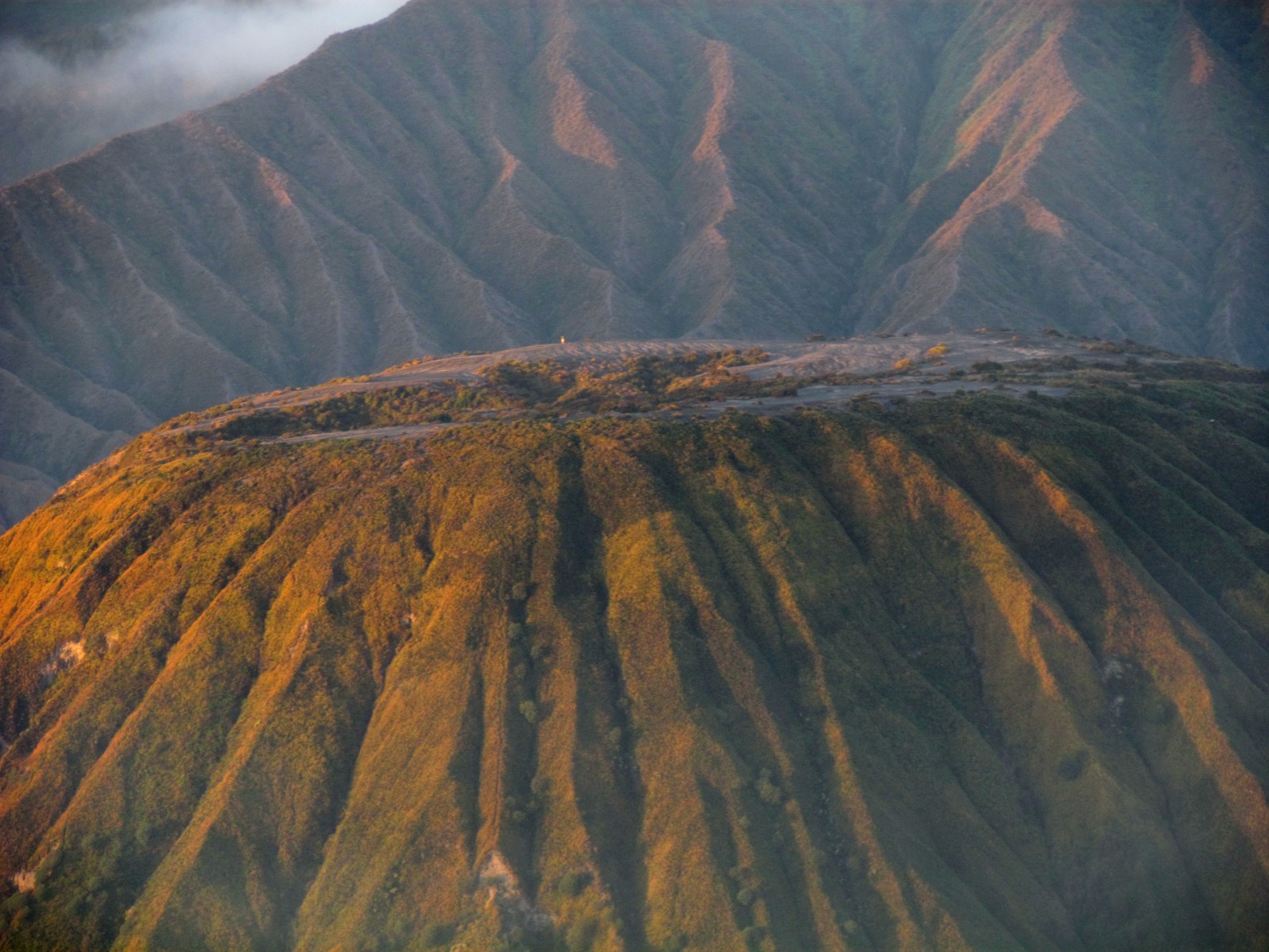 Bromo