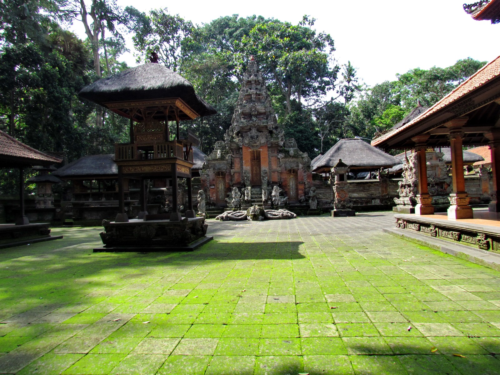 Bali - Ubud - Sacred monkey sanctuary