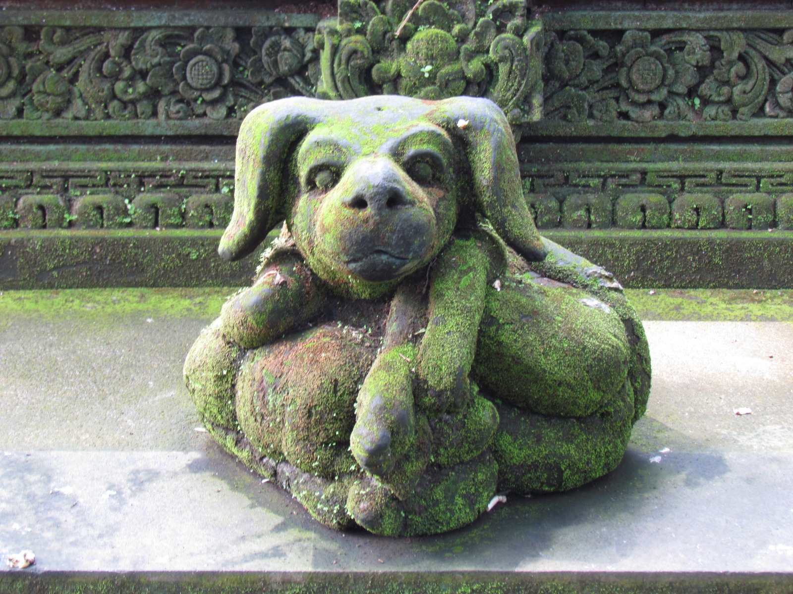 Bali - Ubud - Sacred monkey sanctuary