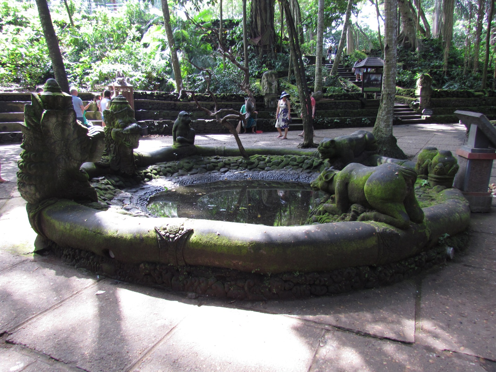 Bali - Ubud - Sacred monkey sanctuary