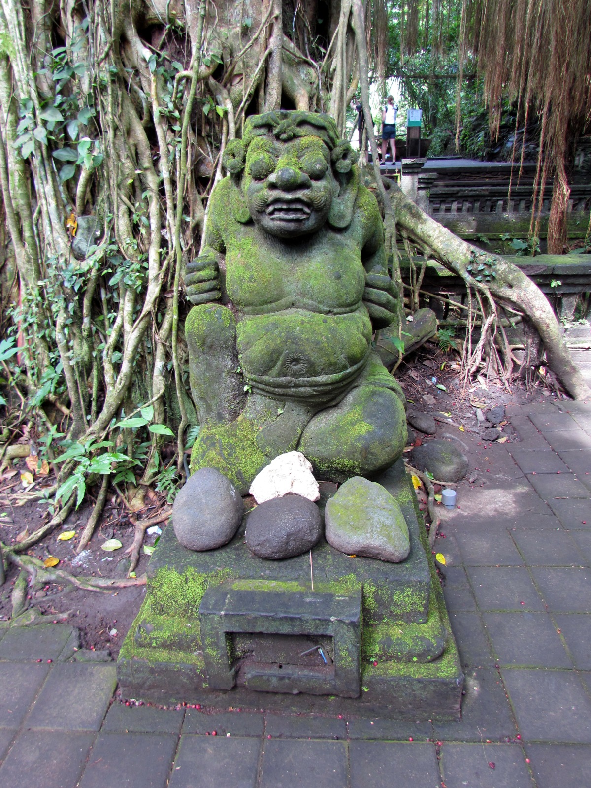 Bali - Ubud - Sacred monkey sanctuary