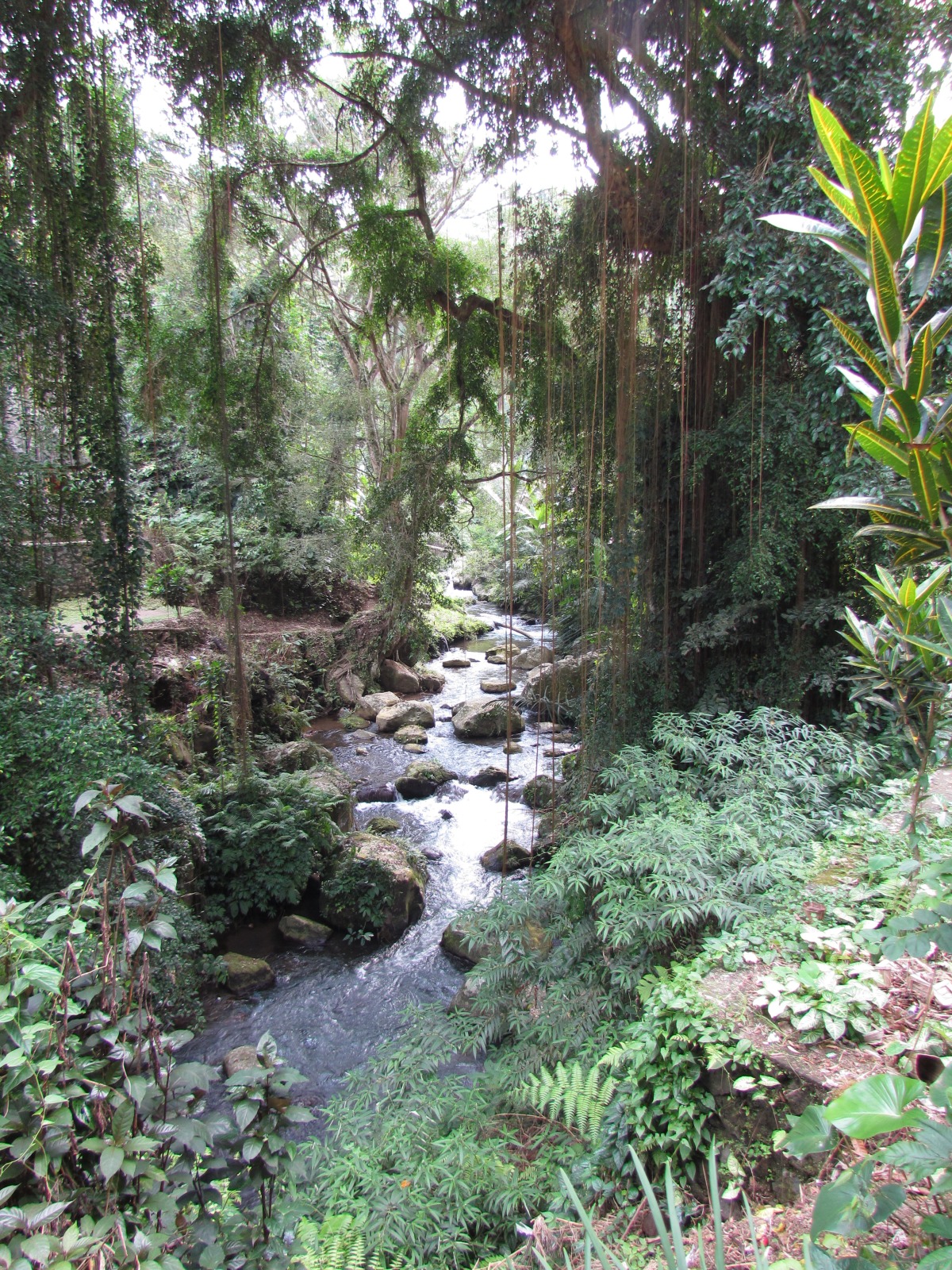 Bali - Gunung Kawi temple complex