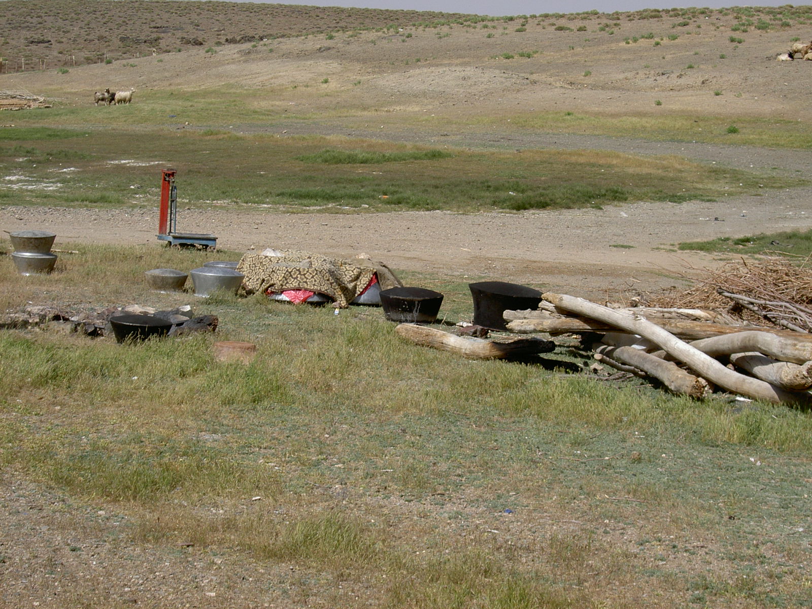 Shiraz to Yazd - Nomads