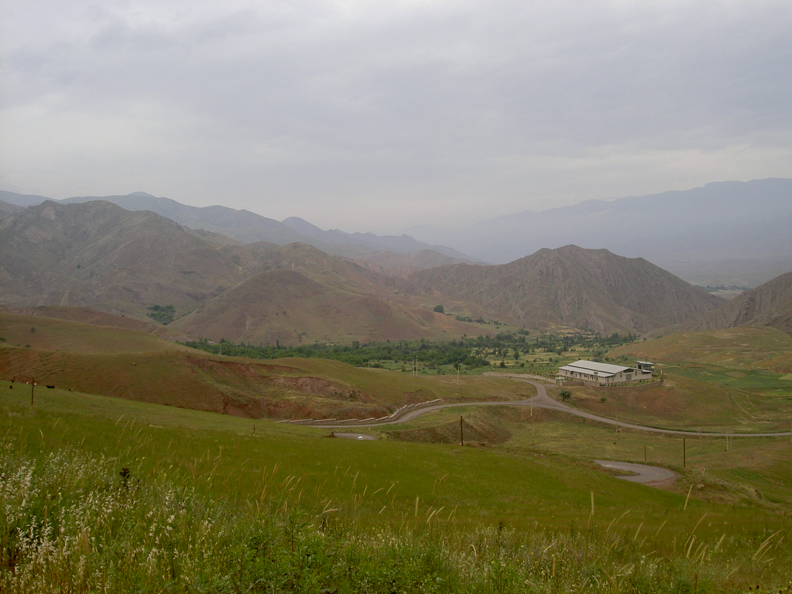 Near Alamut