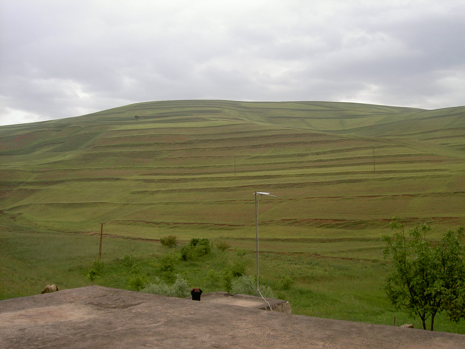 Near Alamut