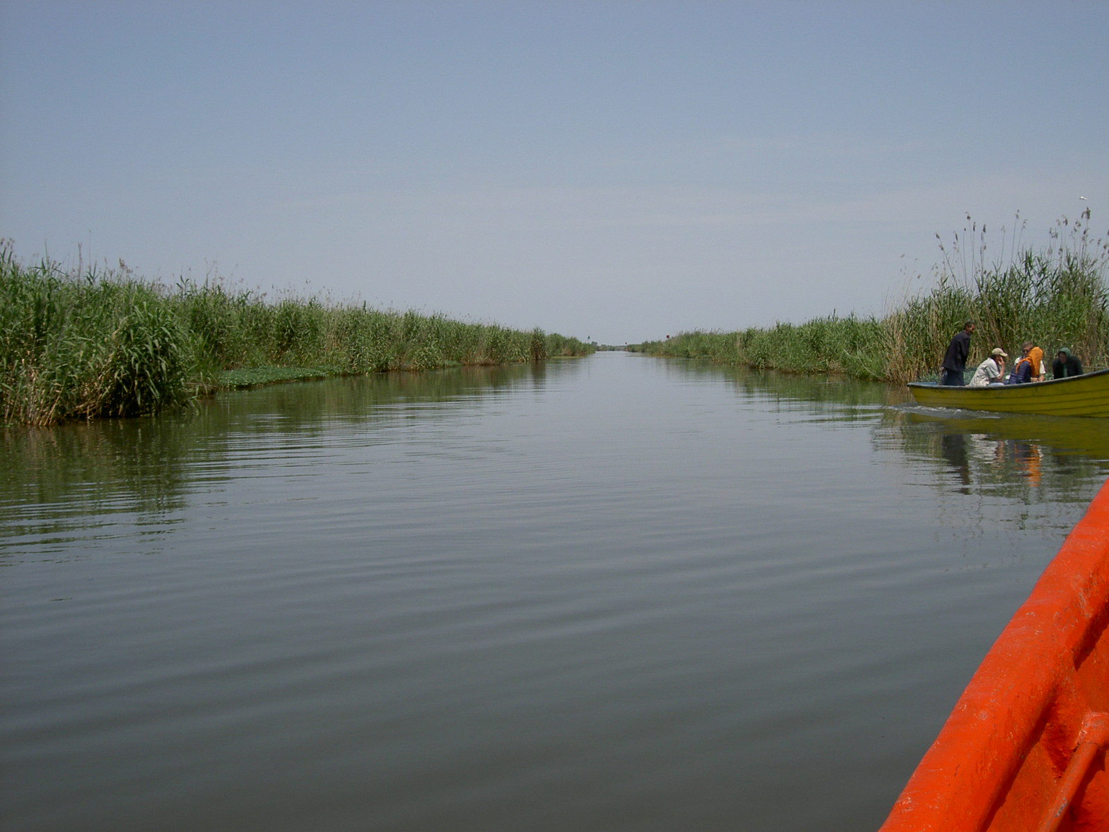 Bandar-e Anzali - Lagoon