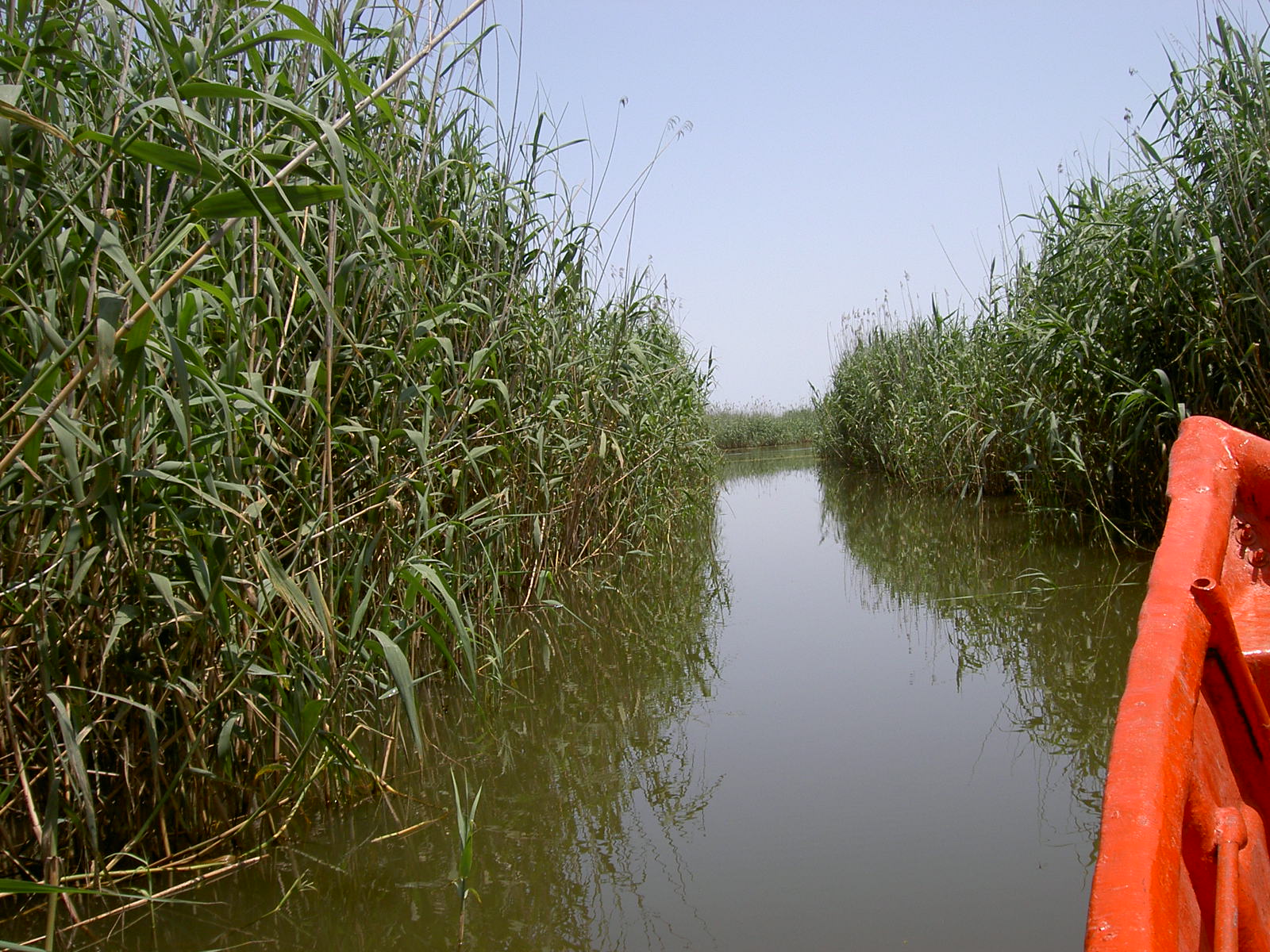 Bandar-e Anzali - Lagoon