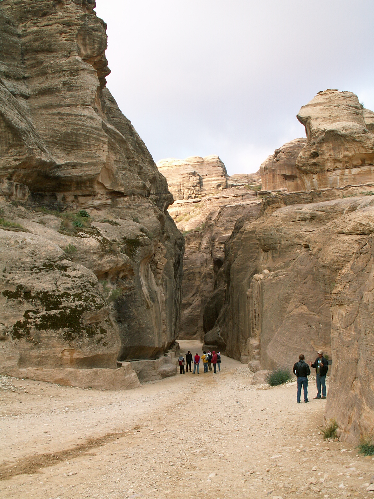 Petra