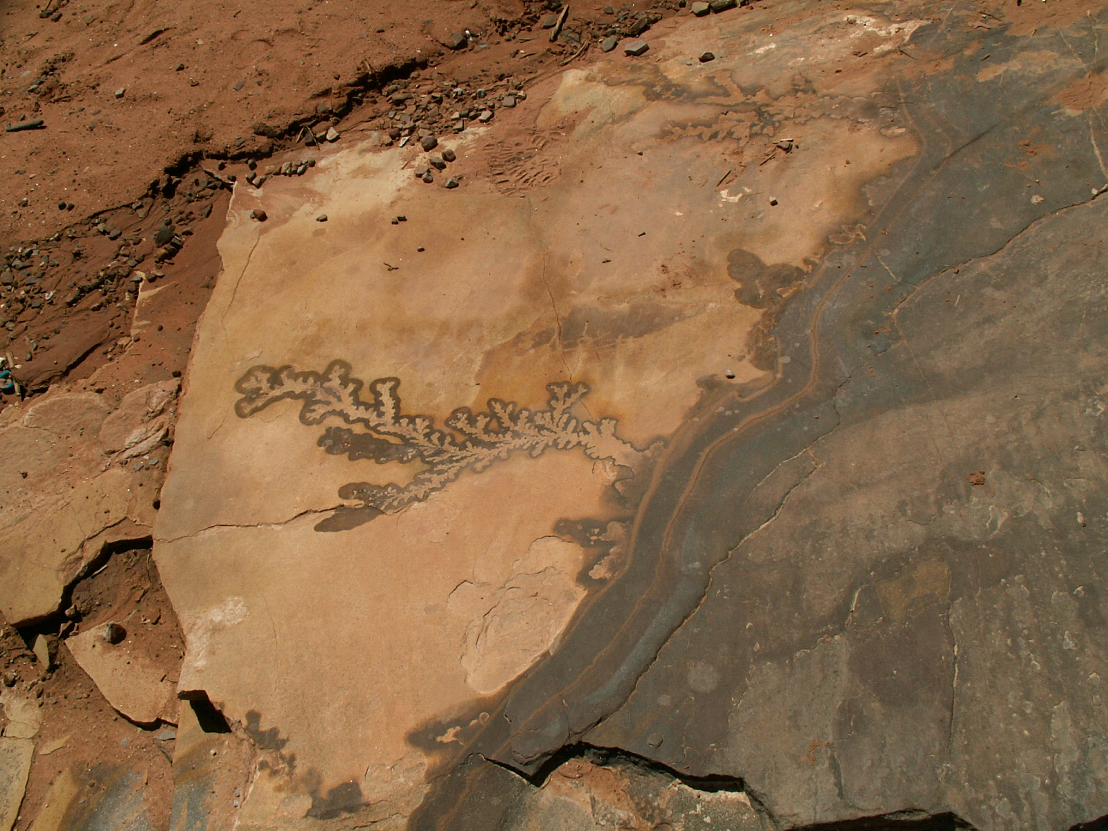 Petra
