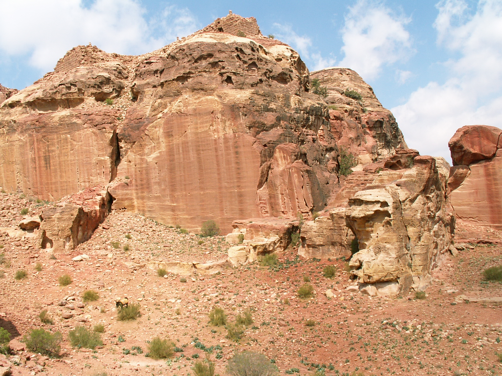 Petra