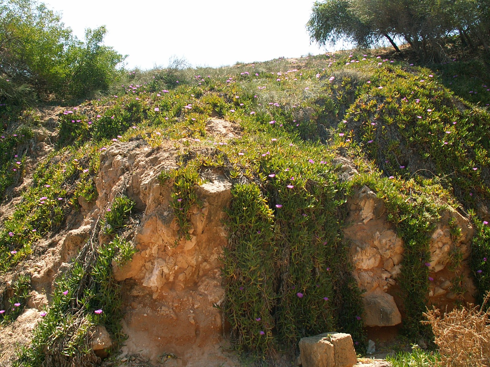 Leptis Magna