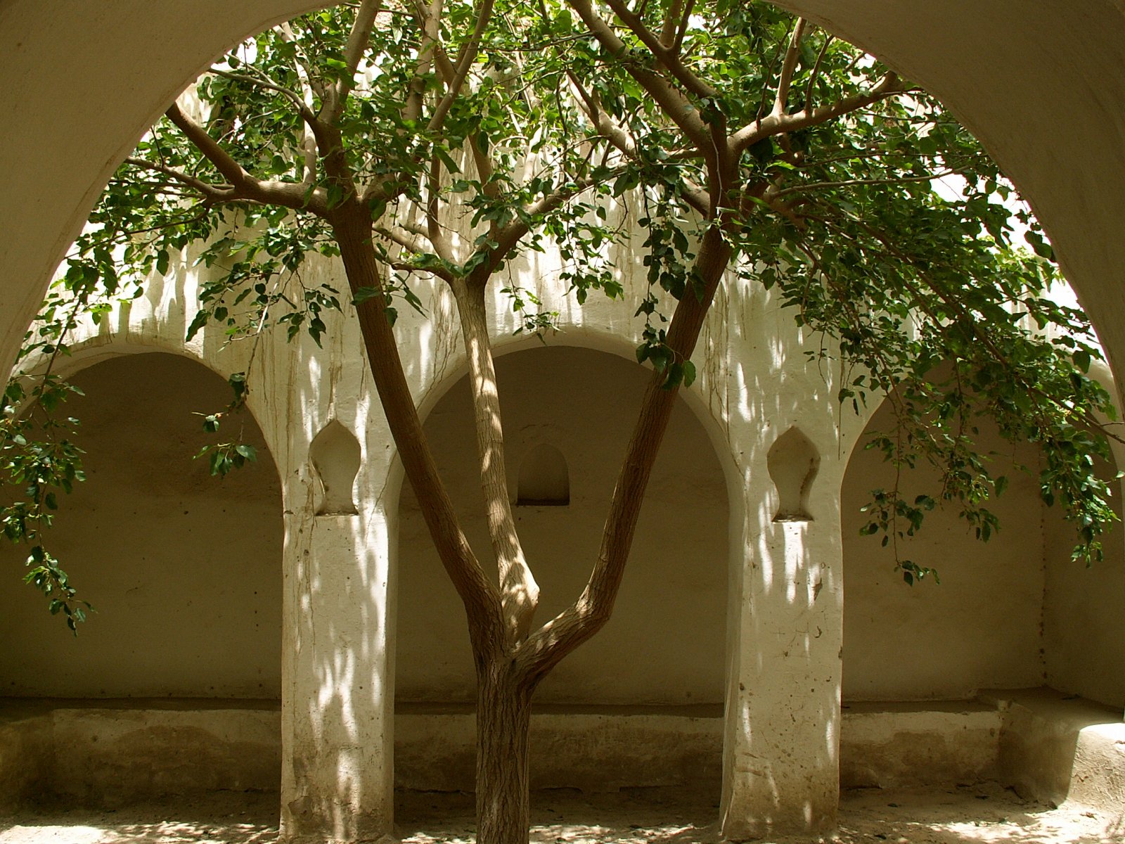 Ghadames - Old city