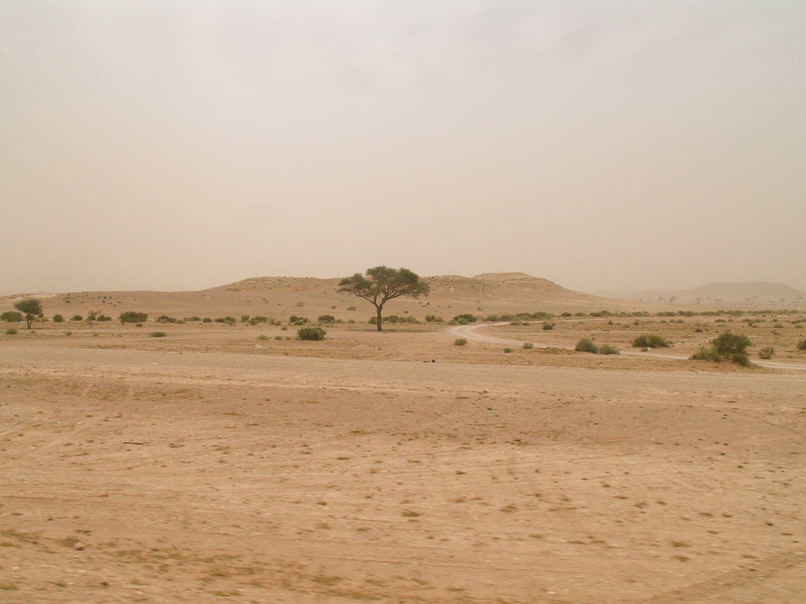 To al-Qaryat