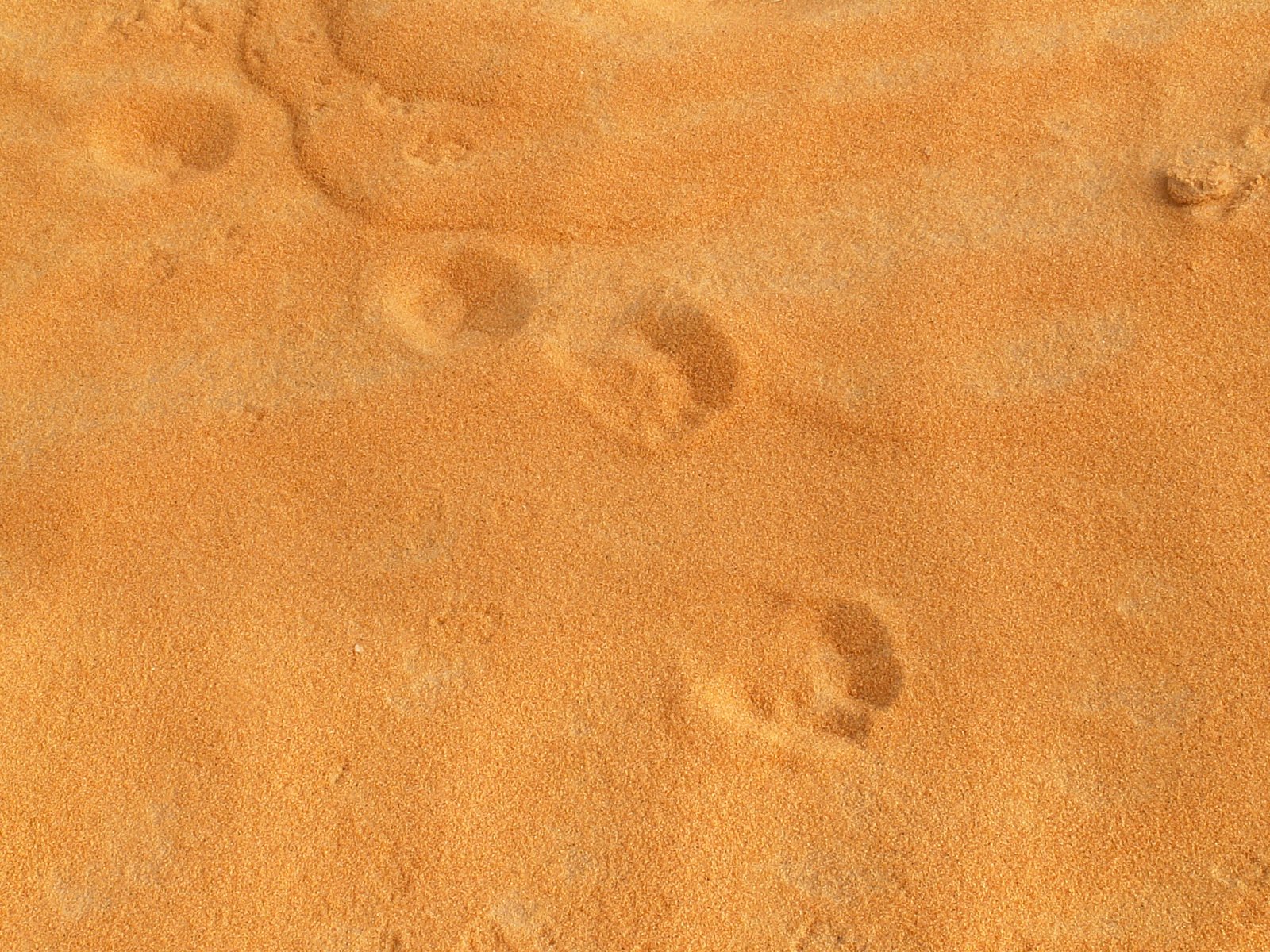 Ubari Lakes - Mavo - Steps
