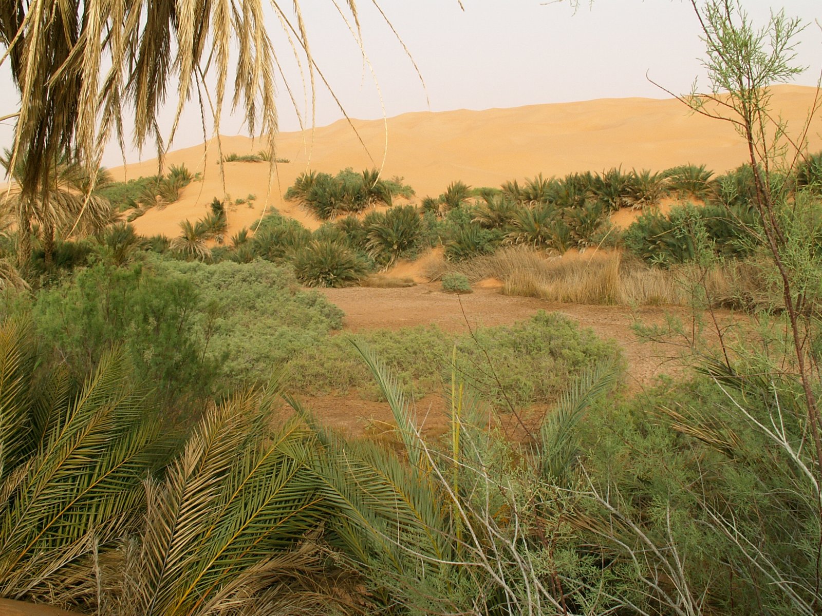 Ubari Lakes - Dried lake