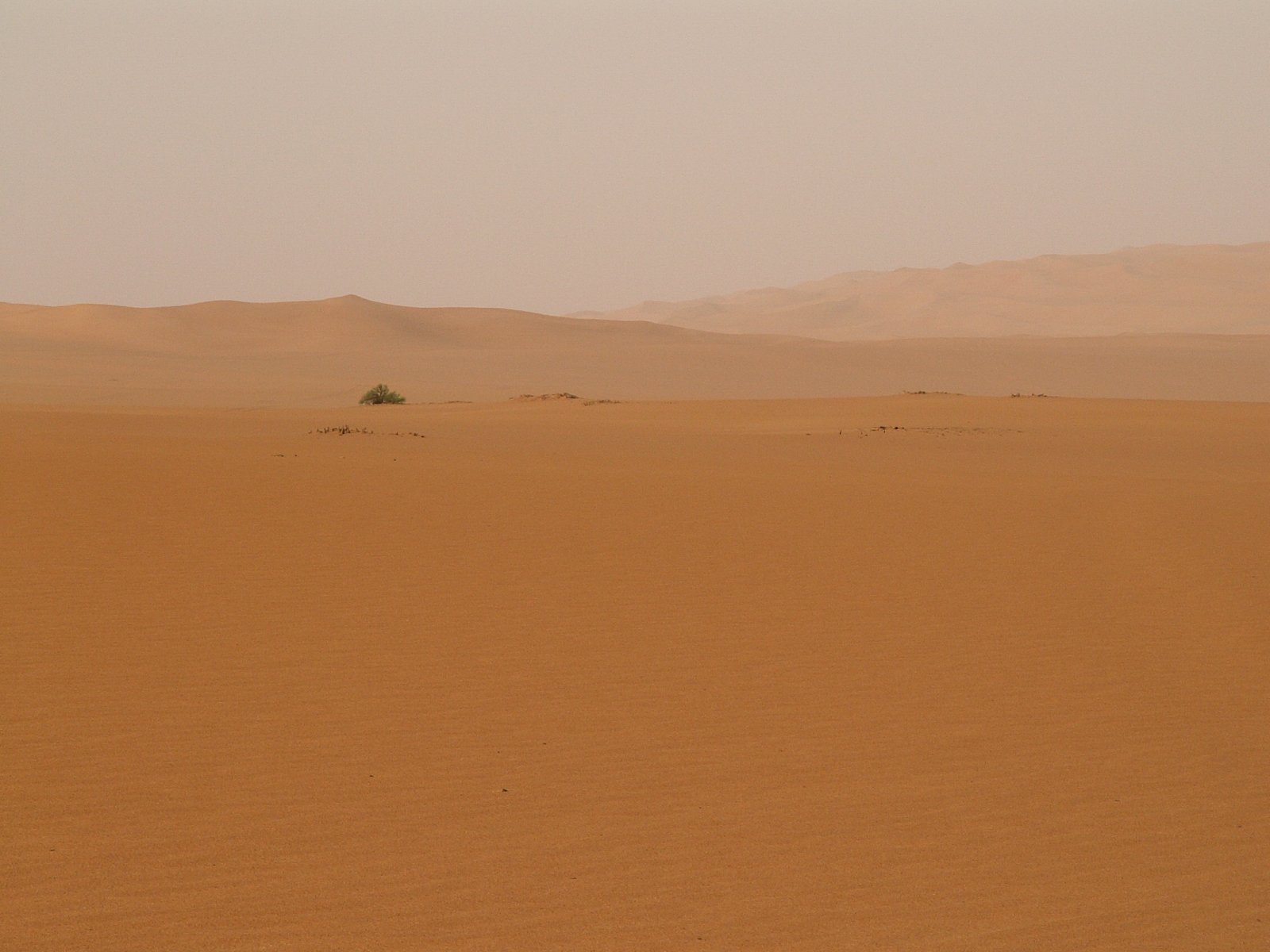 Ramlat Assayef - Sand dunes