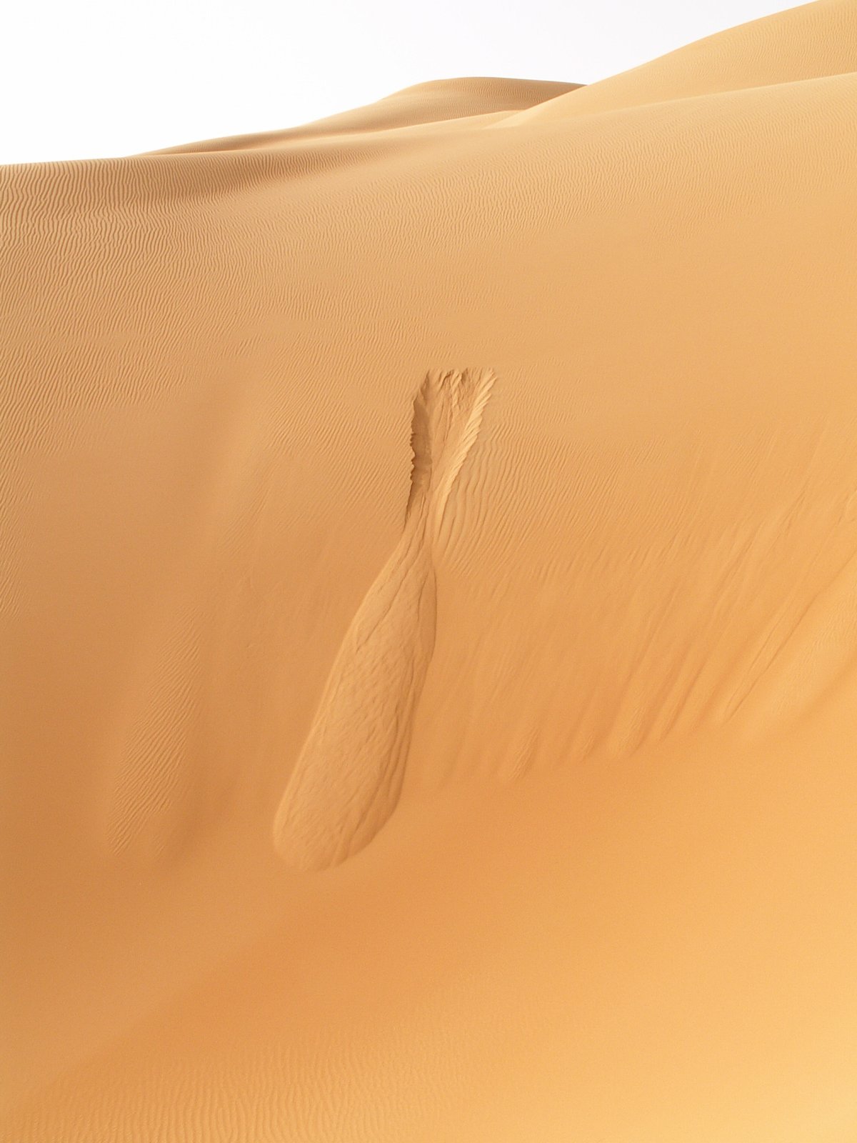 Ramlat Assayef - Sand dunes - Avalanche