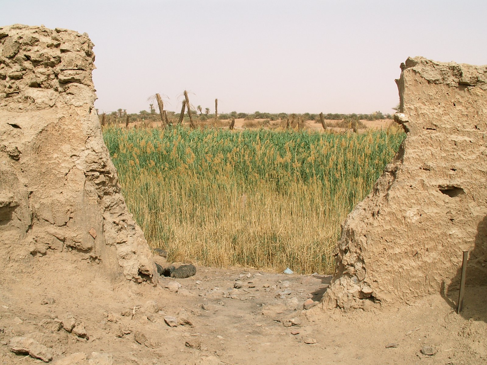 Germa - Garama - King's gate