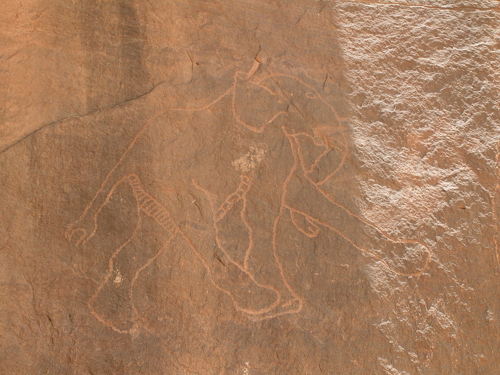 Jebel Acacus - Elephant carving