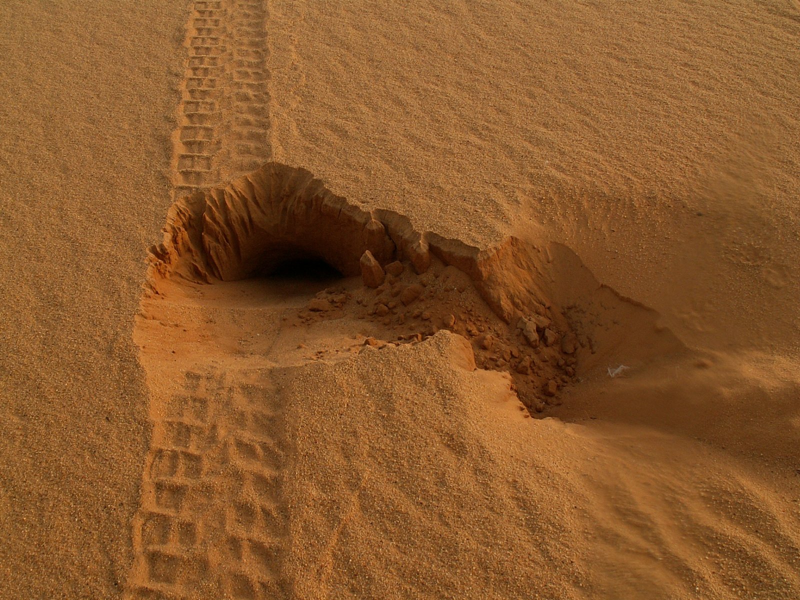 Ramlat Assayef - Fennec hole