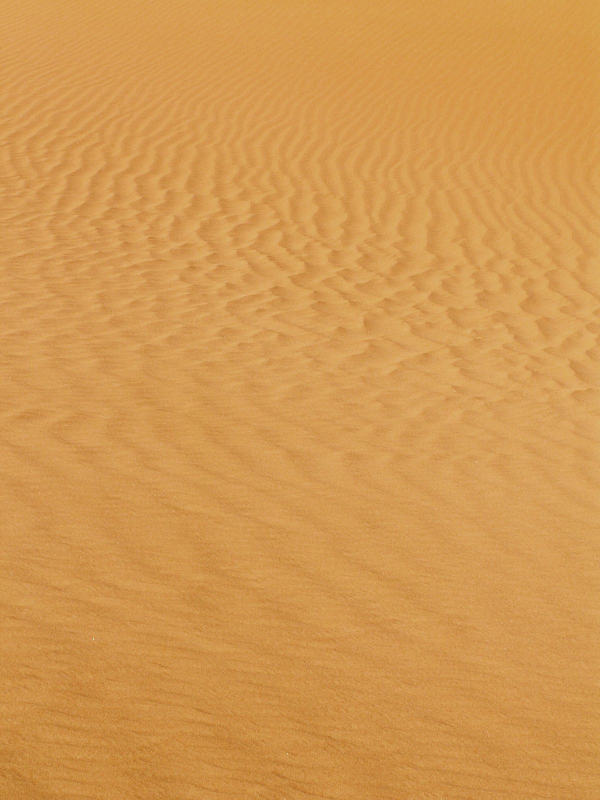 Ramlat Assayef - Sand dunes
