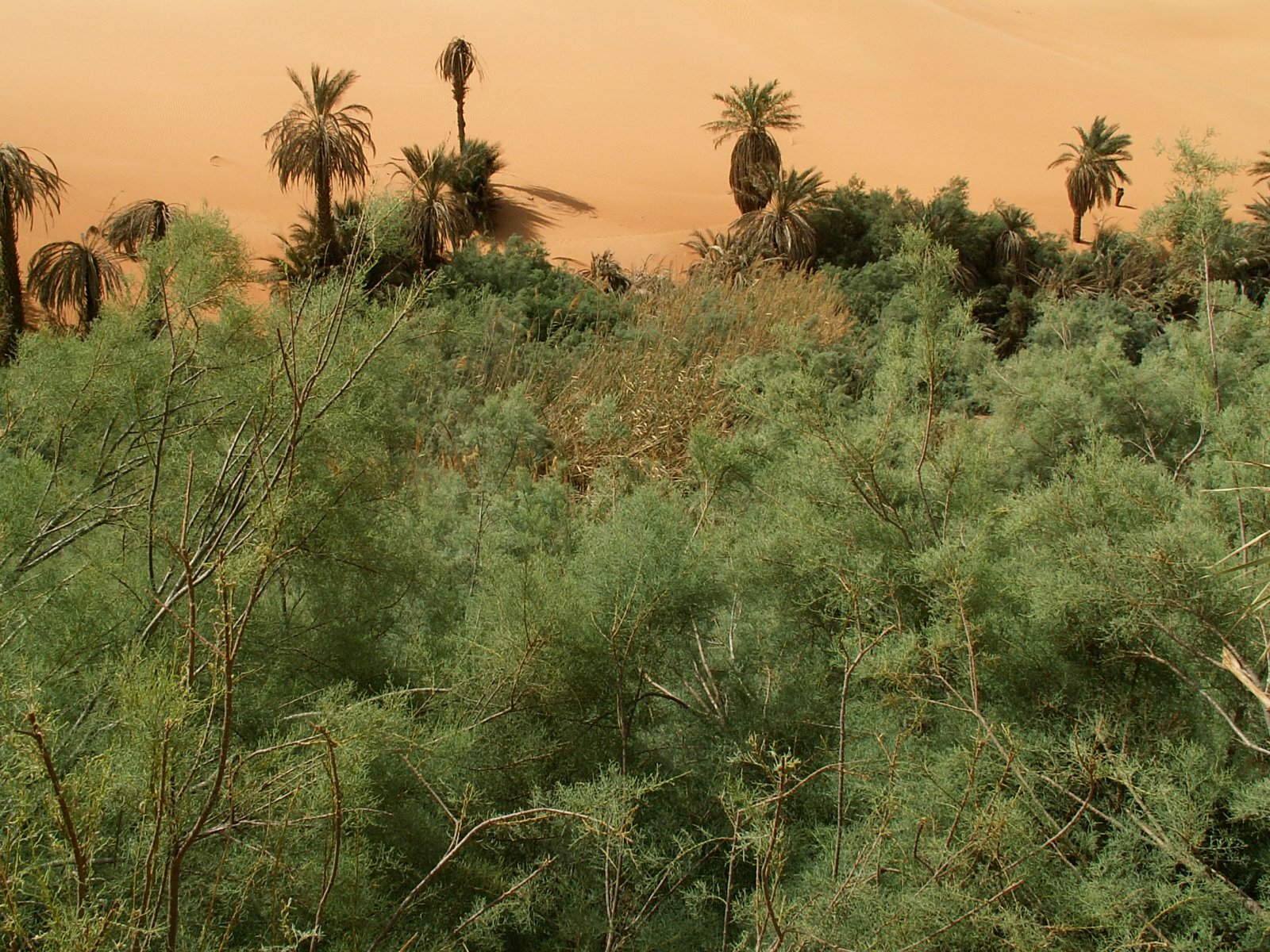 Ubari Lakes - Um al-Maa
