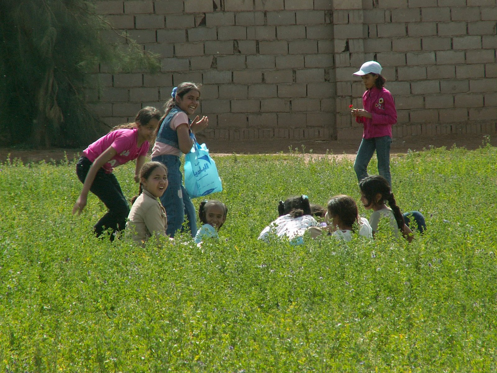 Near Sebha - Zoo