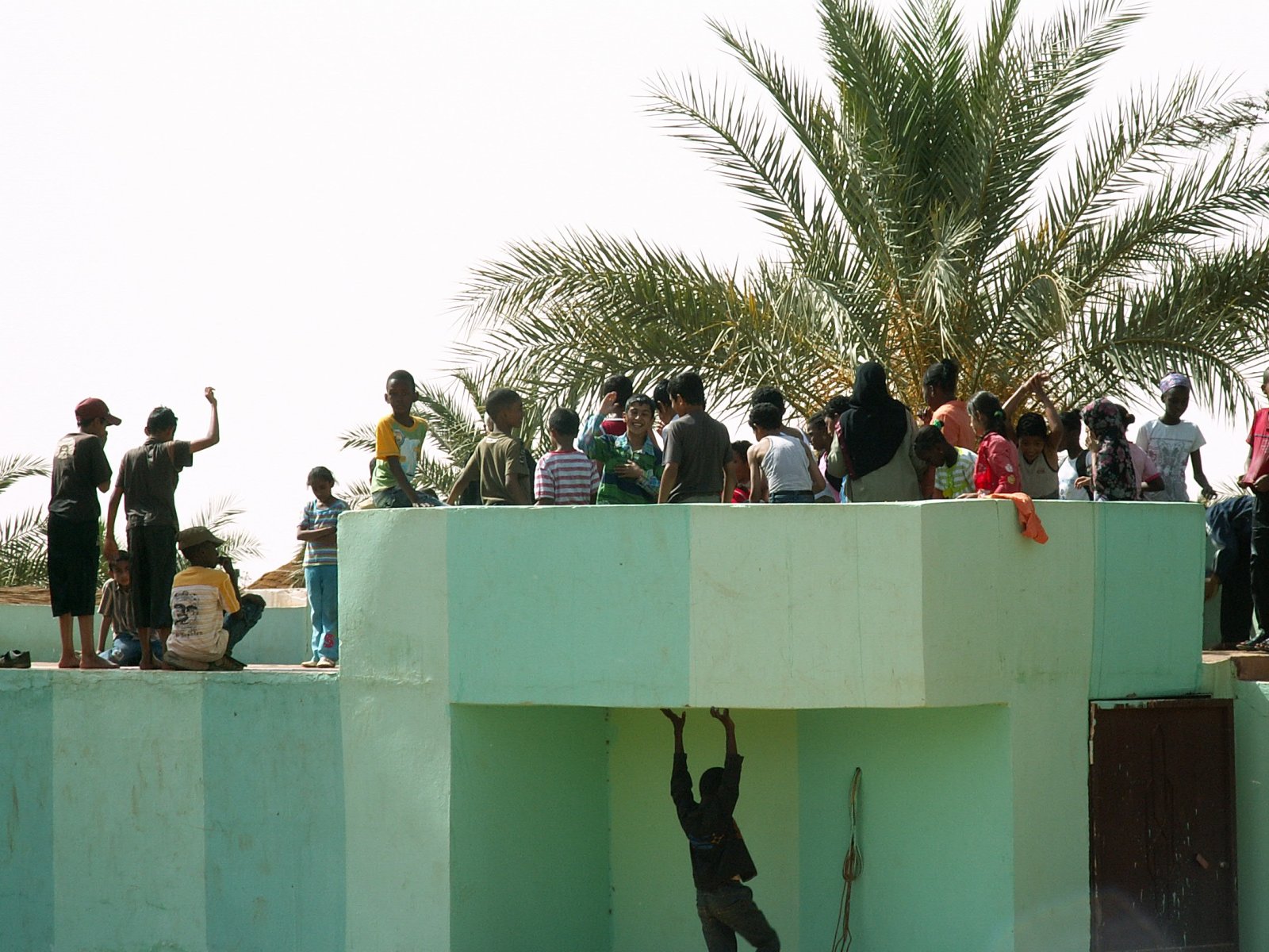 Near Sebha - Zoo