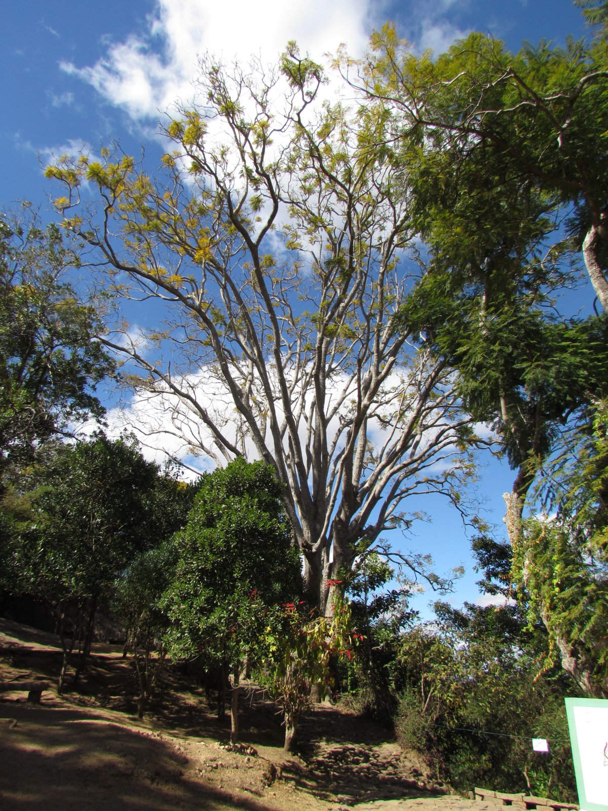 Ambohimanga