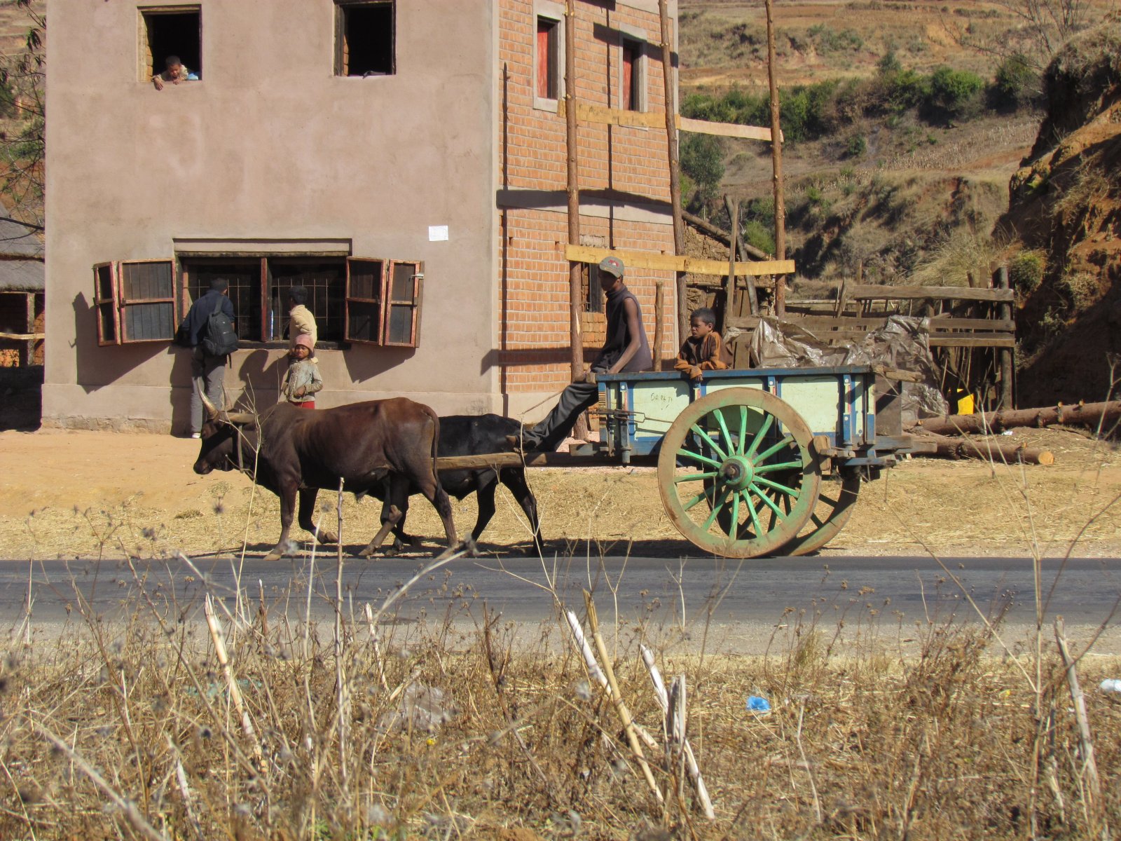 Near Ambohibary - Ox driven cart