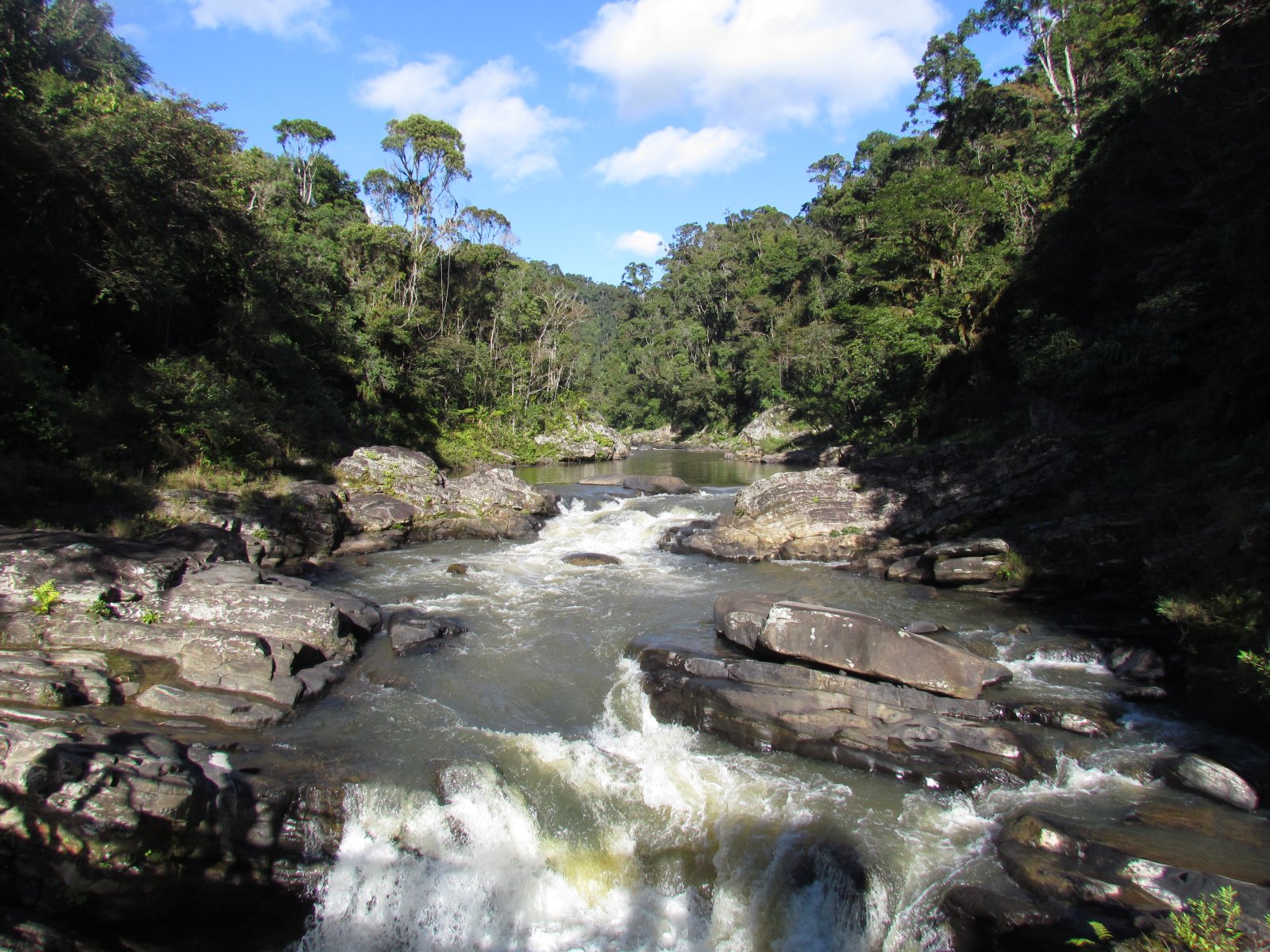 Ranomafana - Tropical rainforest - Namorona river