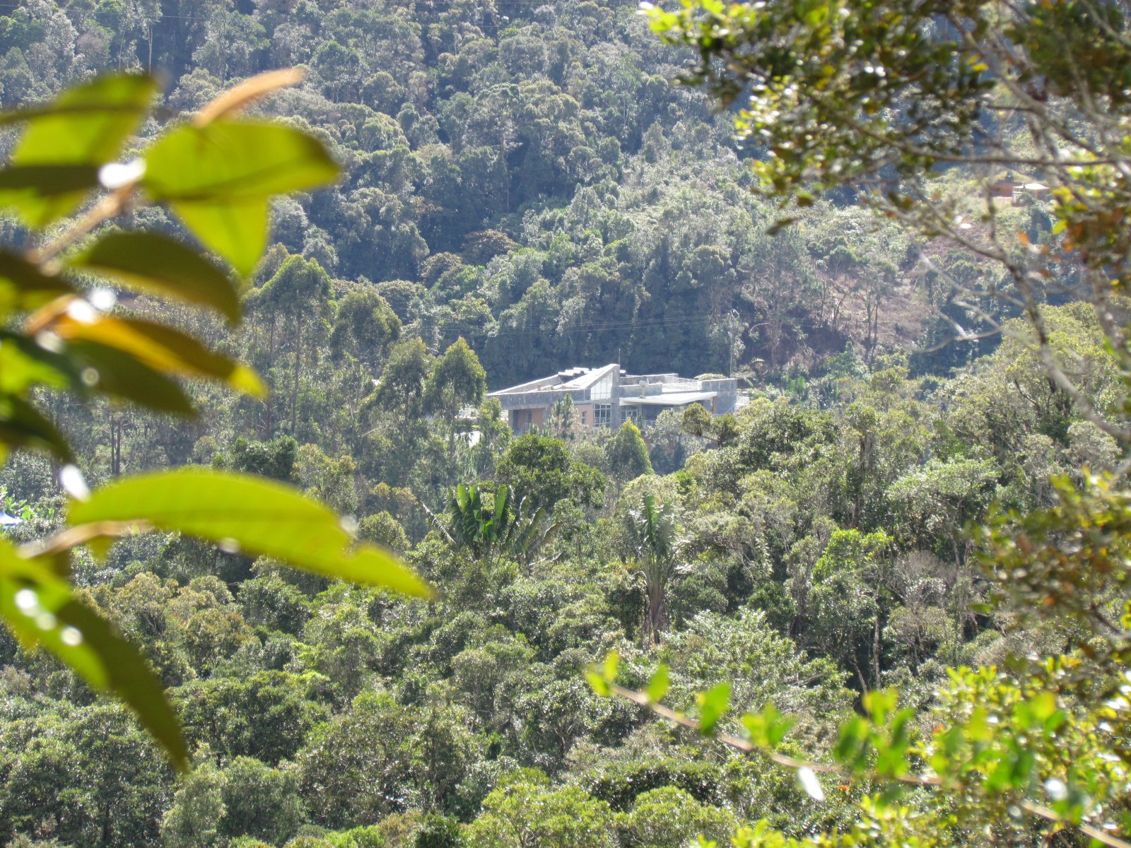Ranomafana - Tropical rainforest - ValBio Biodiversity Research Centre