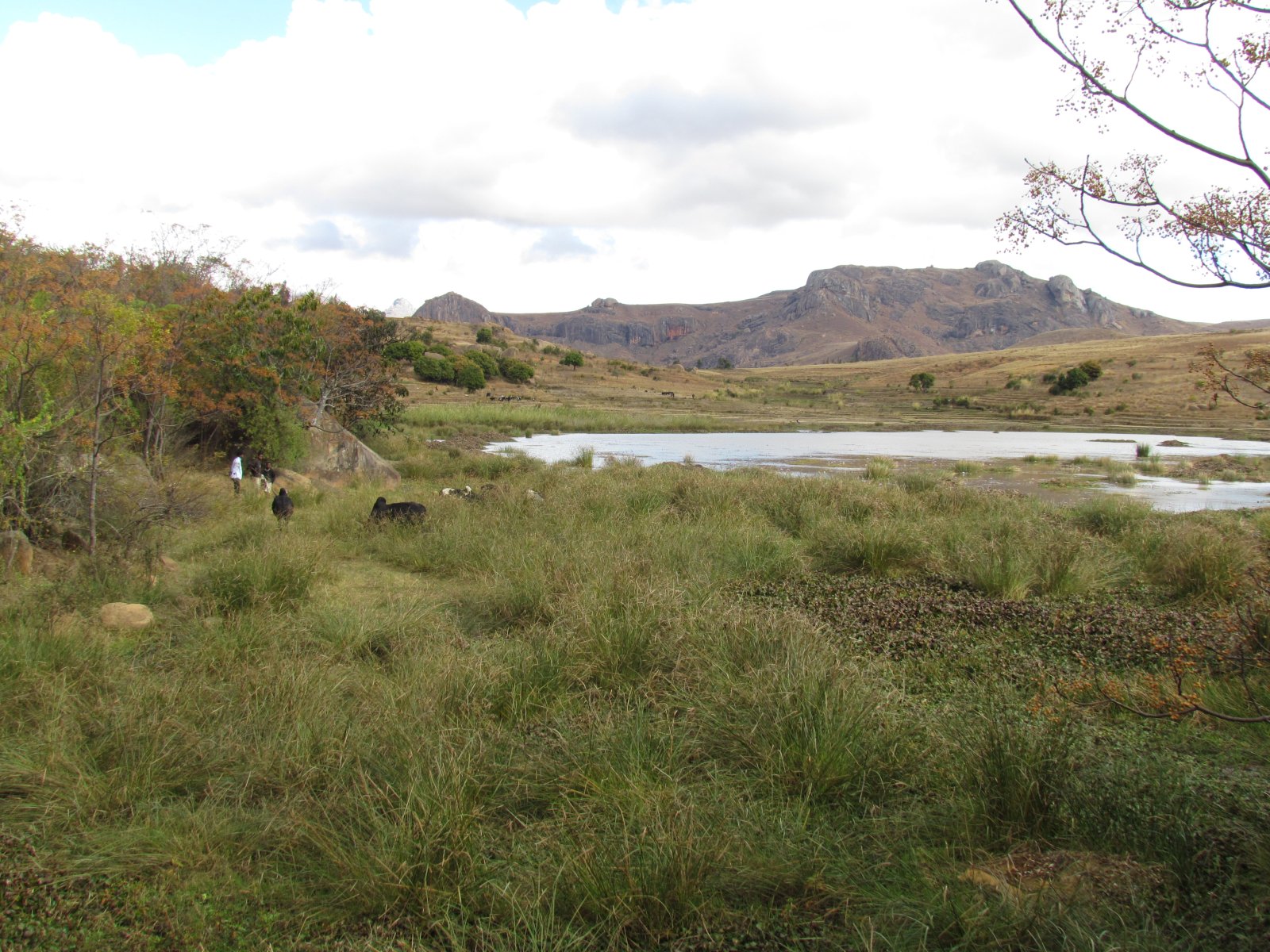 Anja reserve