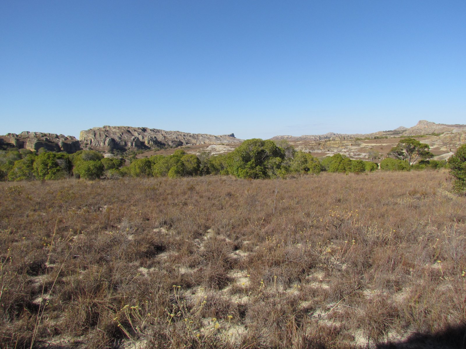 Isalo national park