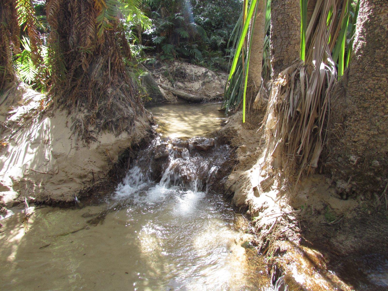 Isalo national park - Piscine naturele