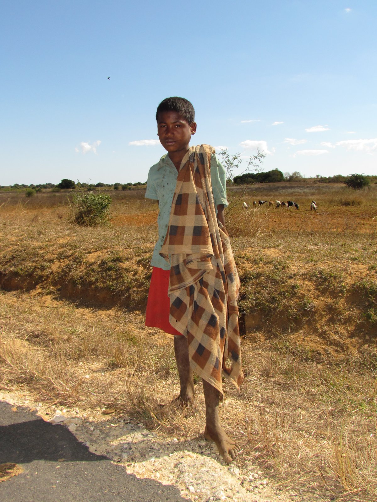 Near Toliara - Goat herder